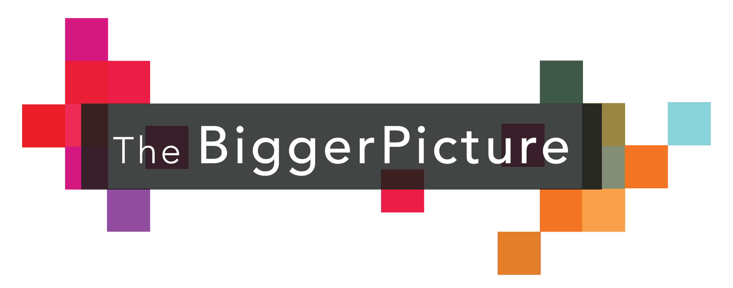 The Bigger Picture logo